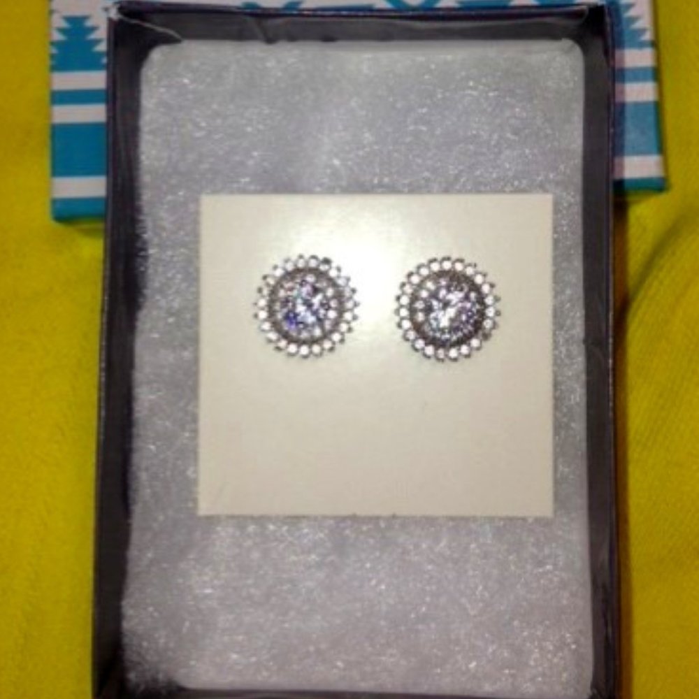 Pretty Round Rinestone Post Earrings - Picture 2 of 8